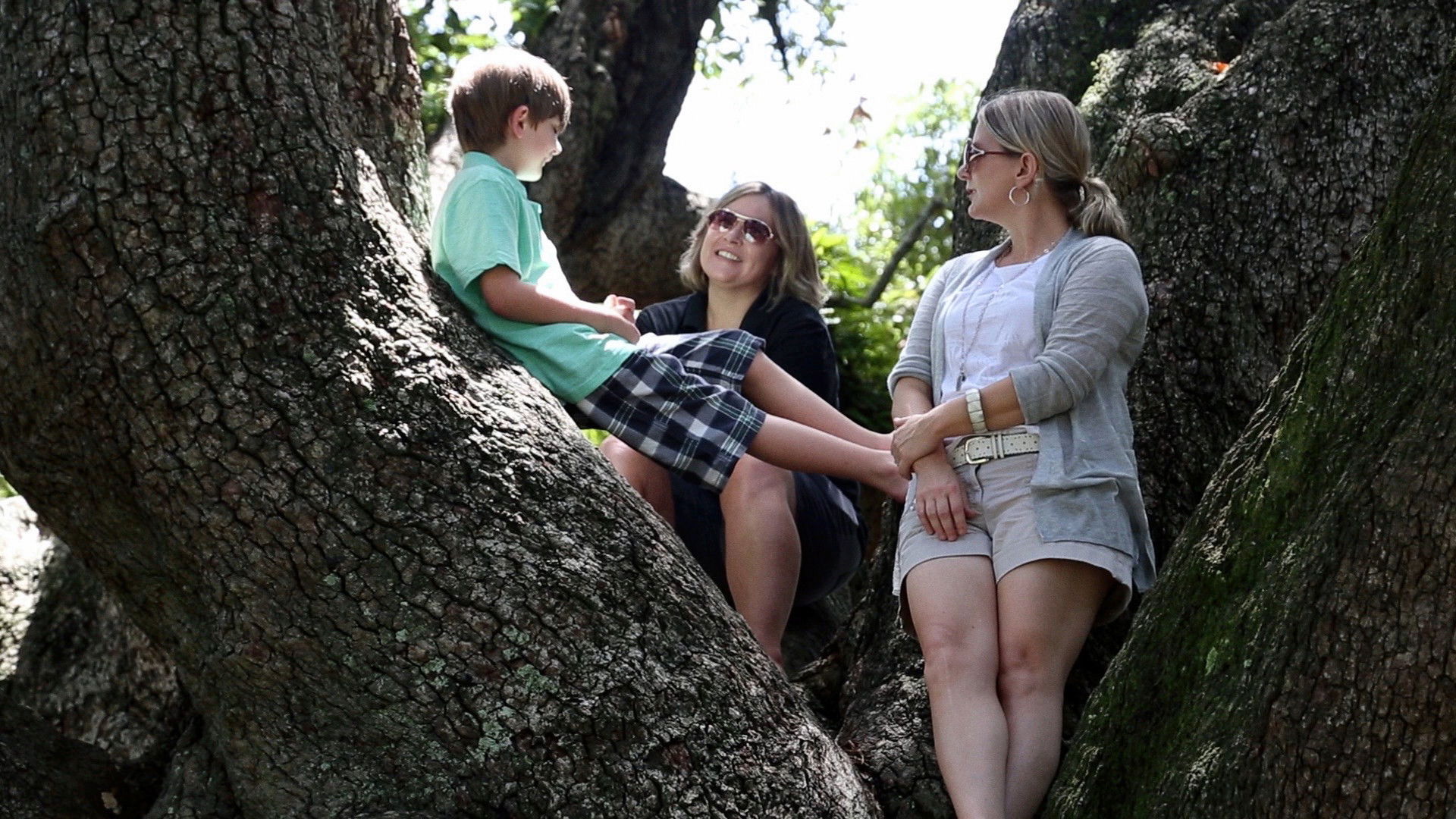 Alabama Bound Background