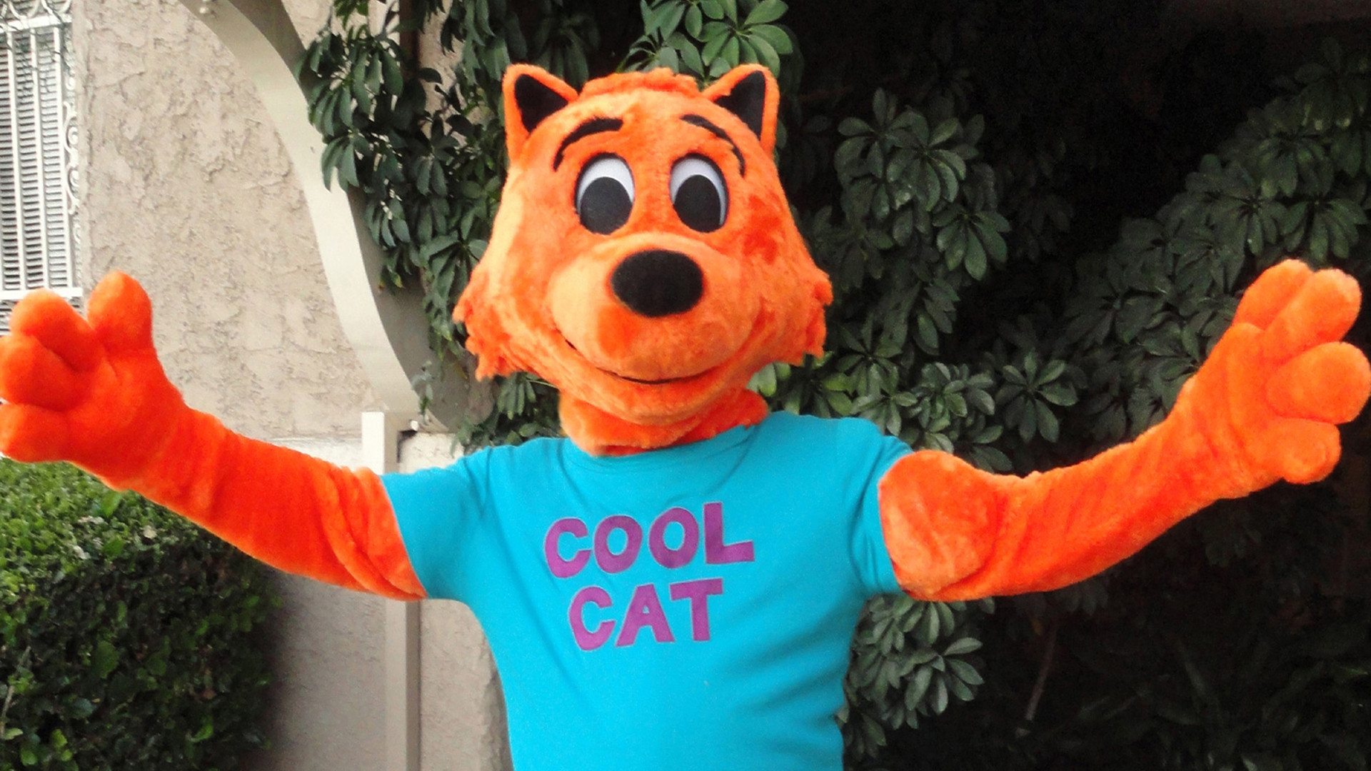 Cool Cat Saves the Kids Background