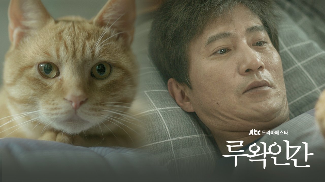 Human Luwak Background