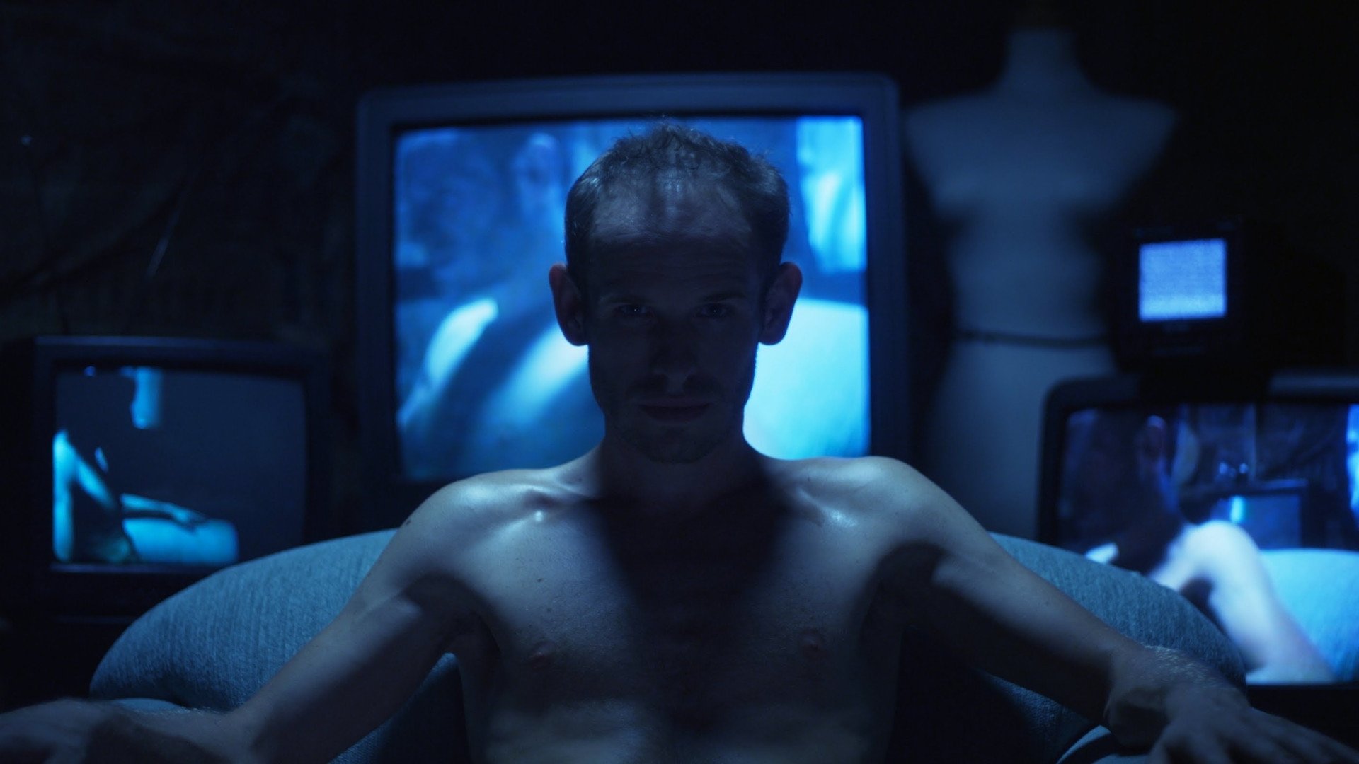 Wild in Blue Background