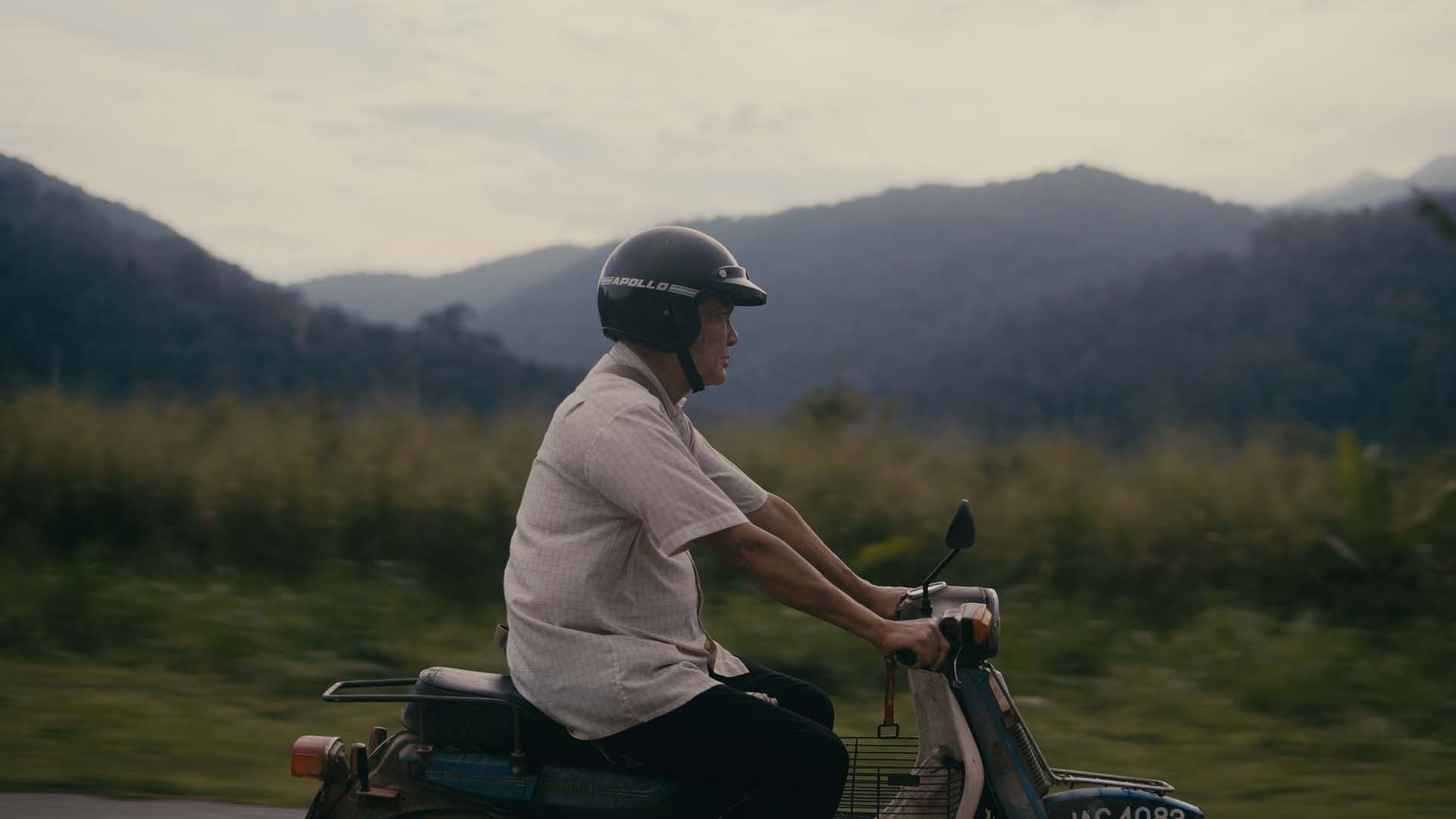 Durian Trees Background