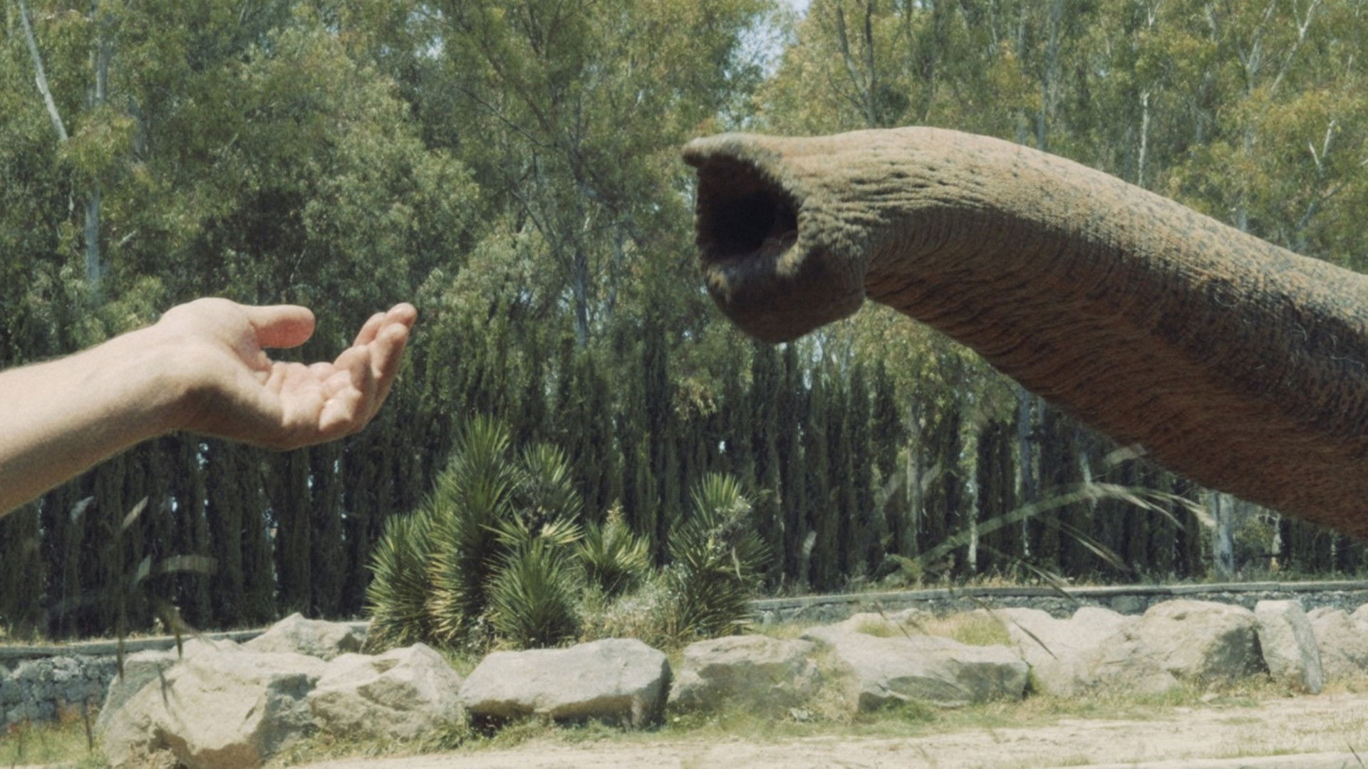 Forms of Forgetting Background