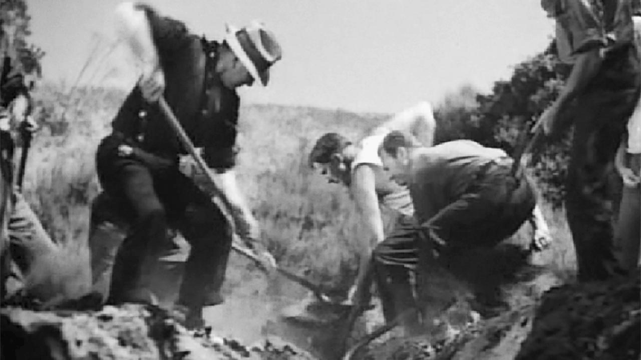 Our Daily Bread Background