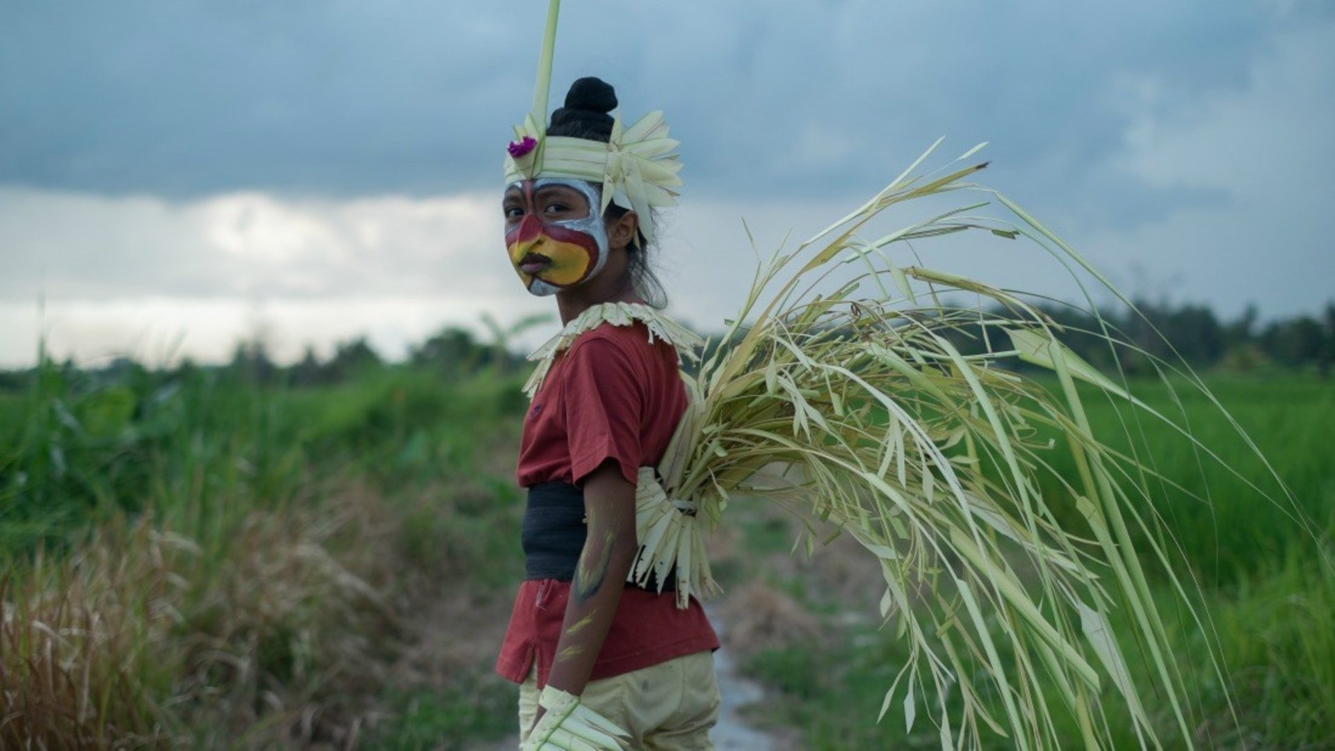 The Seen and Unseen Background