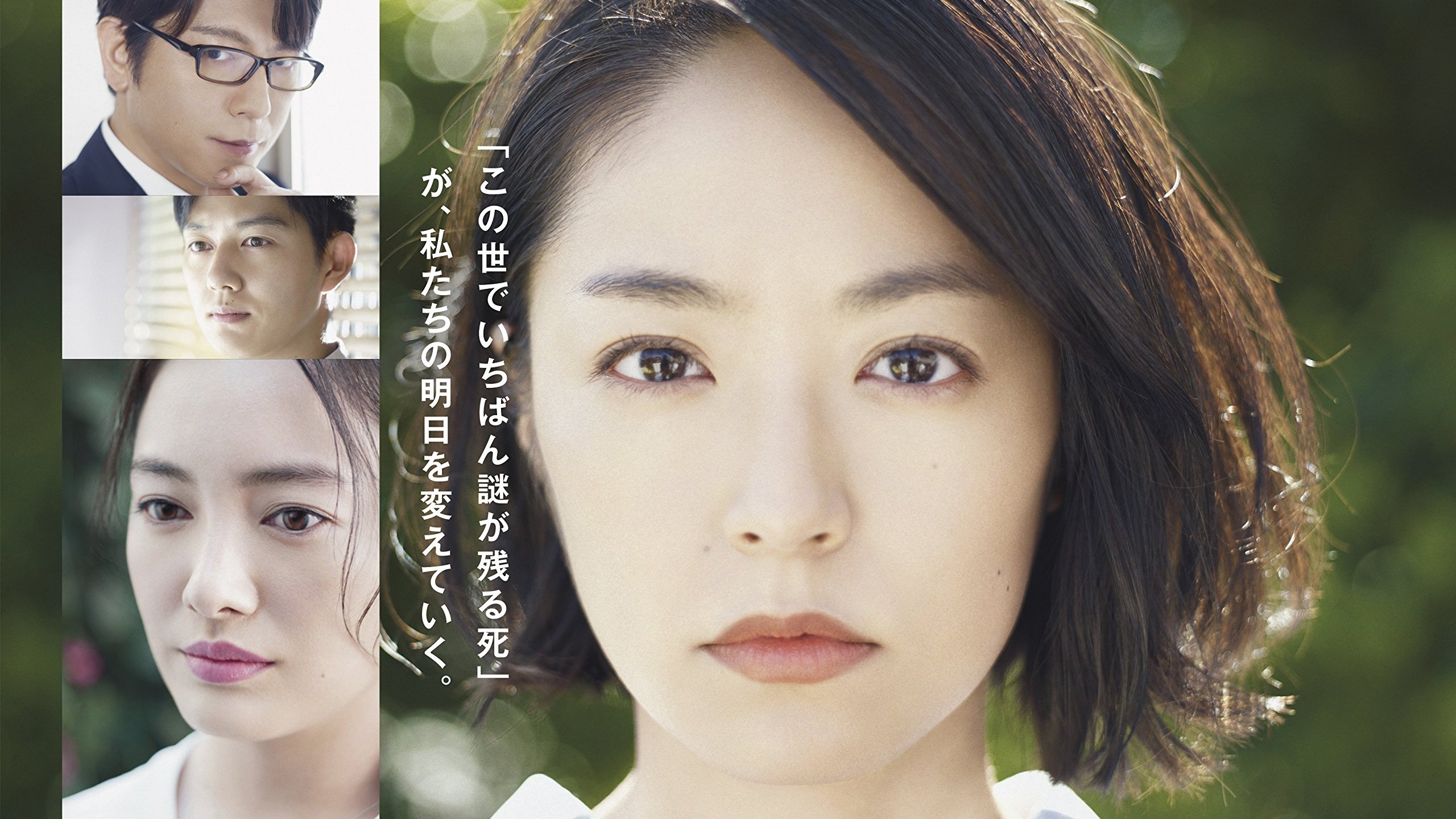 School Counselor Background