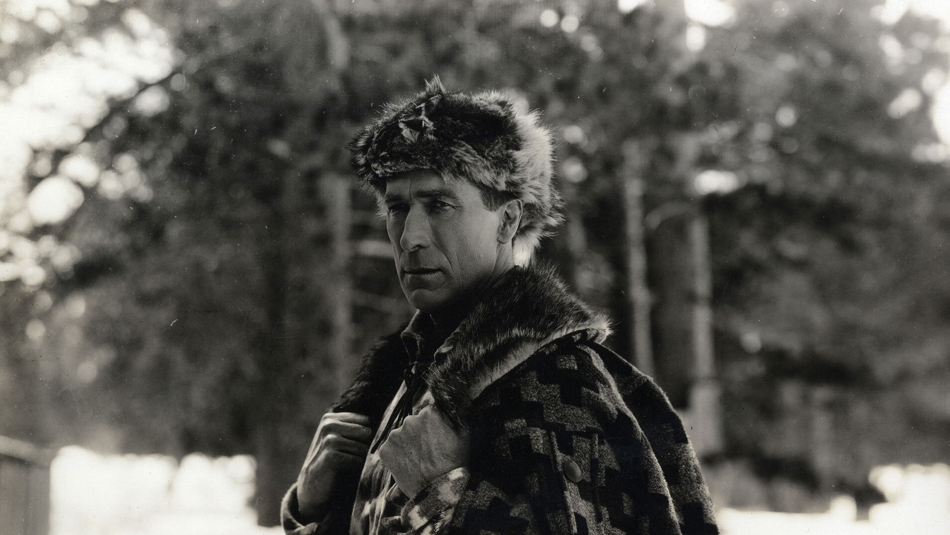 Shark Monroe Background