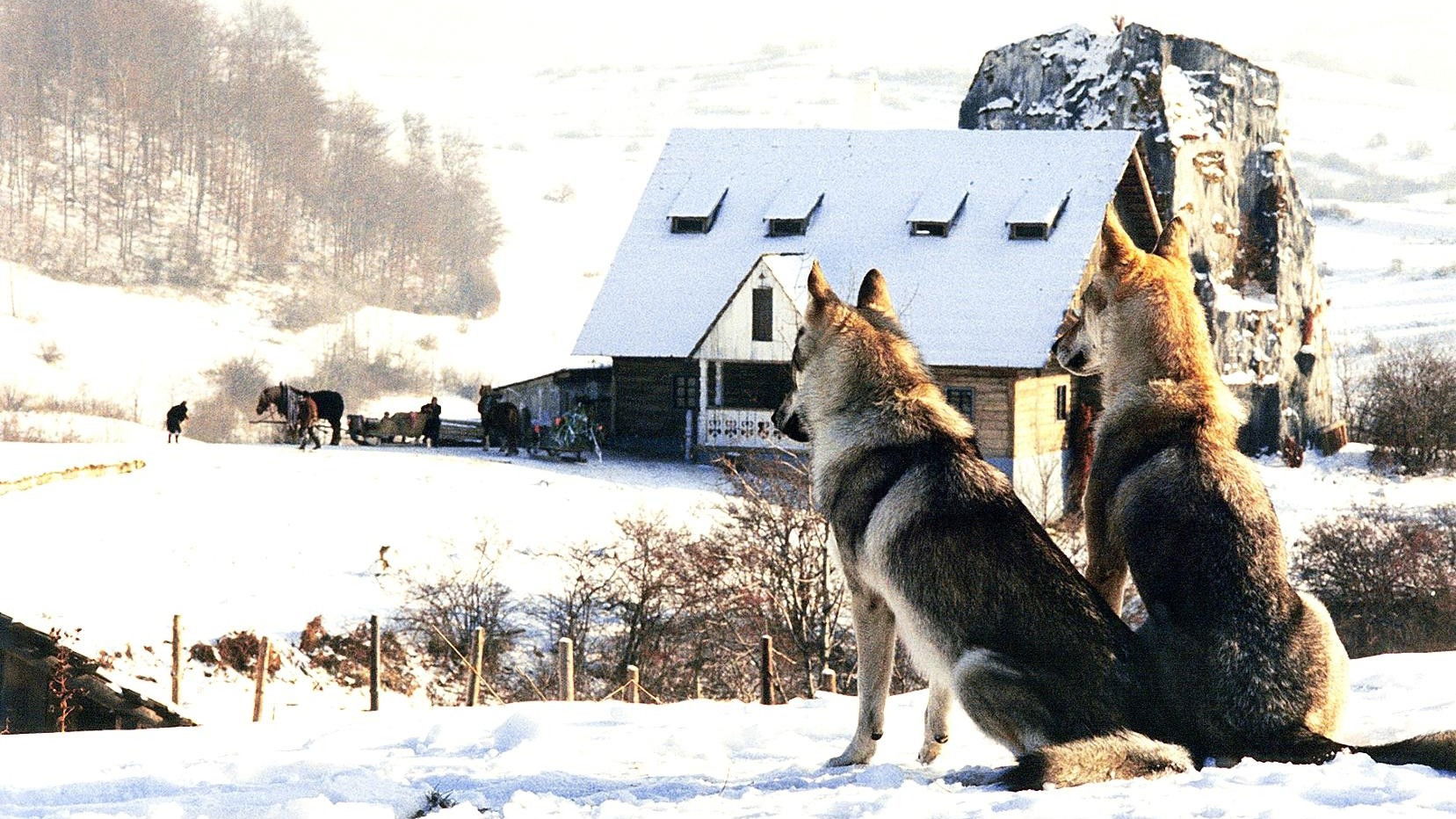 An Ambiguous Report About the End of the World Background