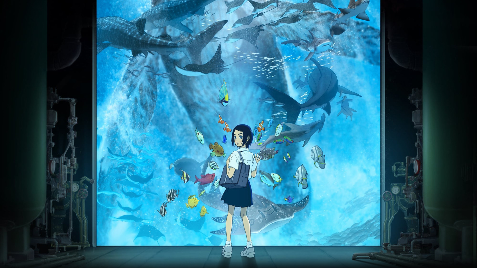 Children of the Sea Background