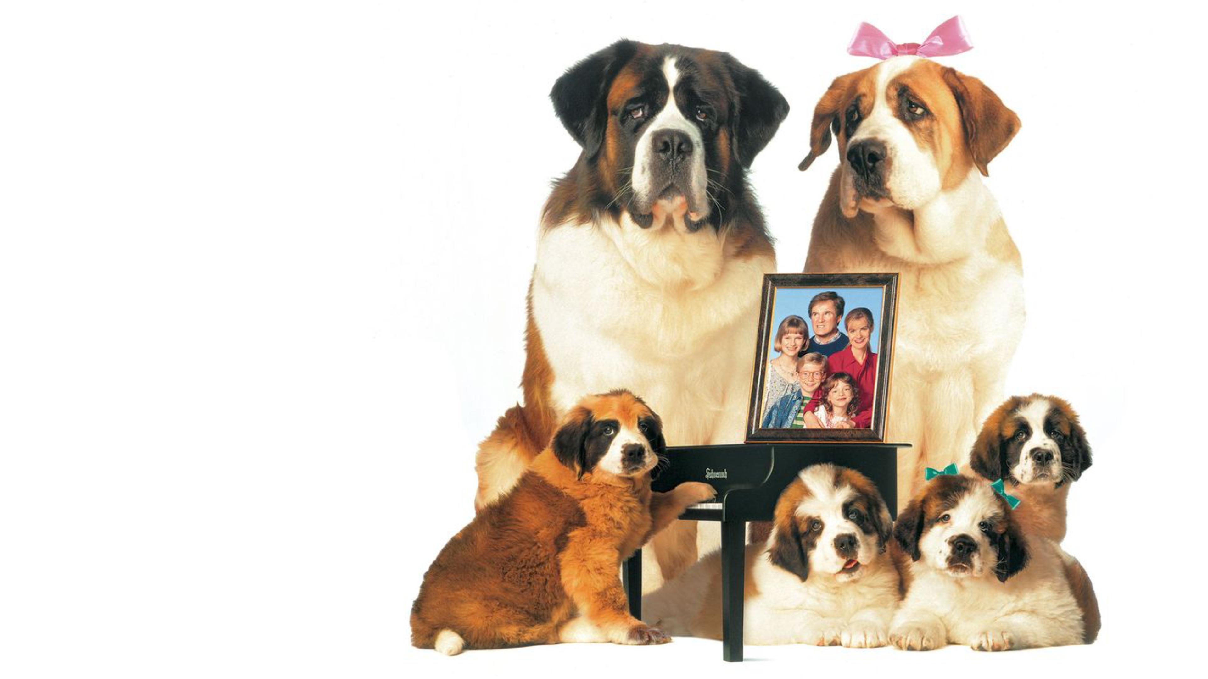 Beethoven's 2nd Background