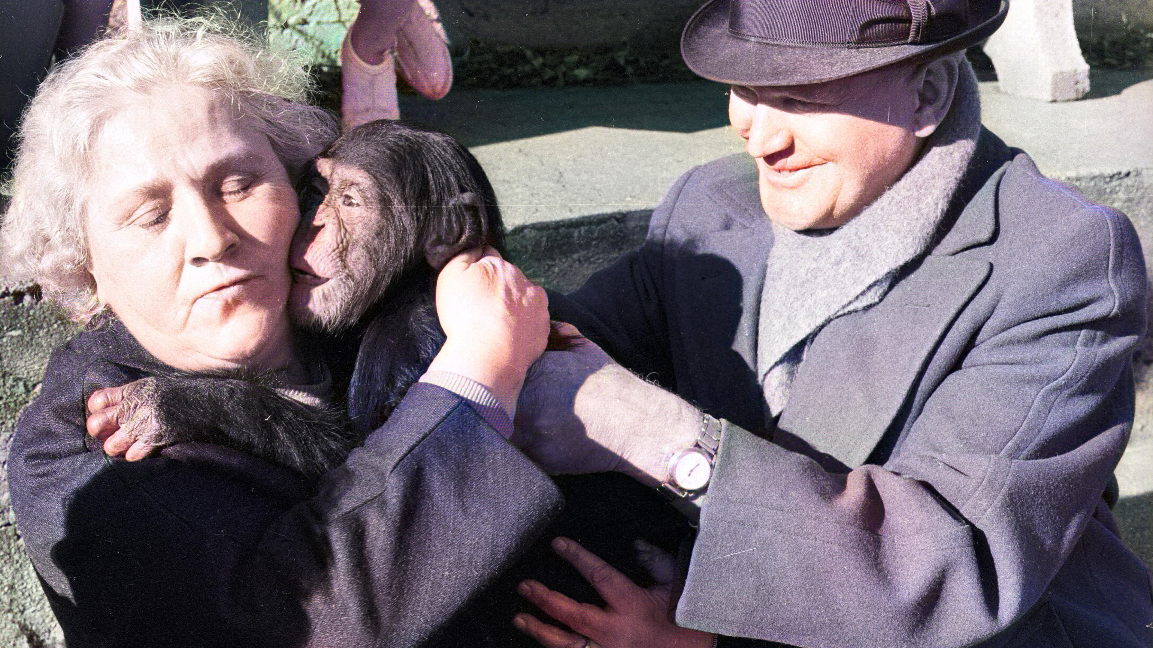 Land of Silence and Darkness Background