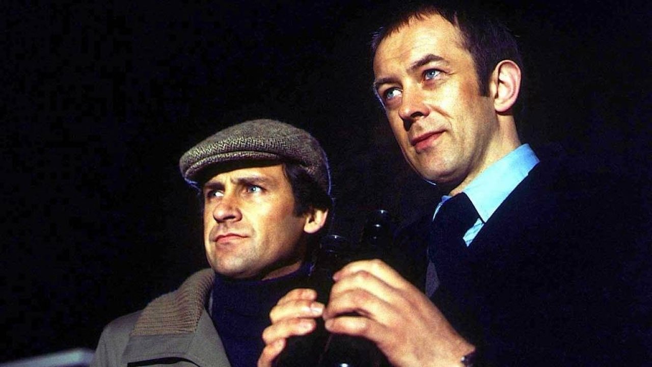 The Sandbaggers Background