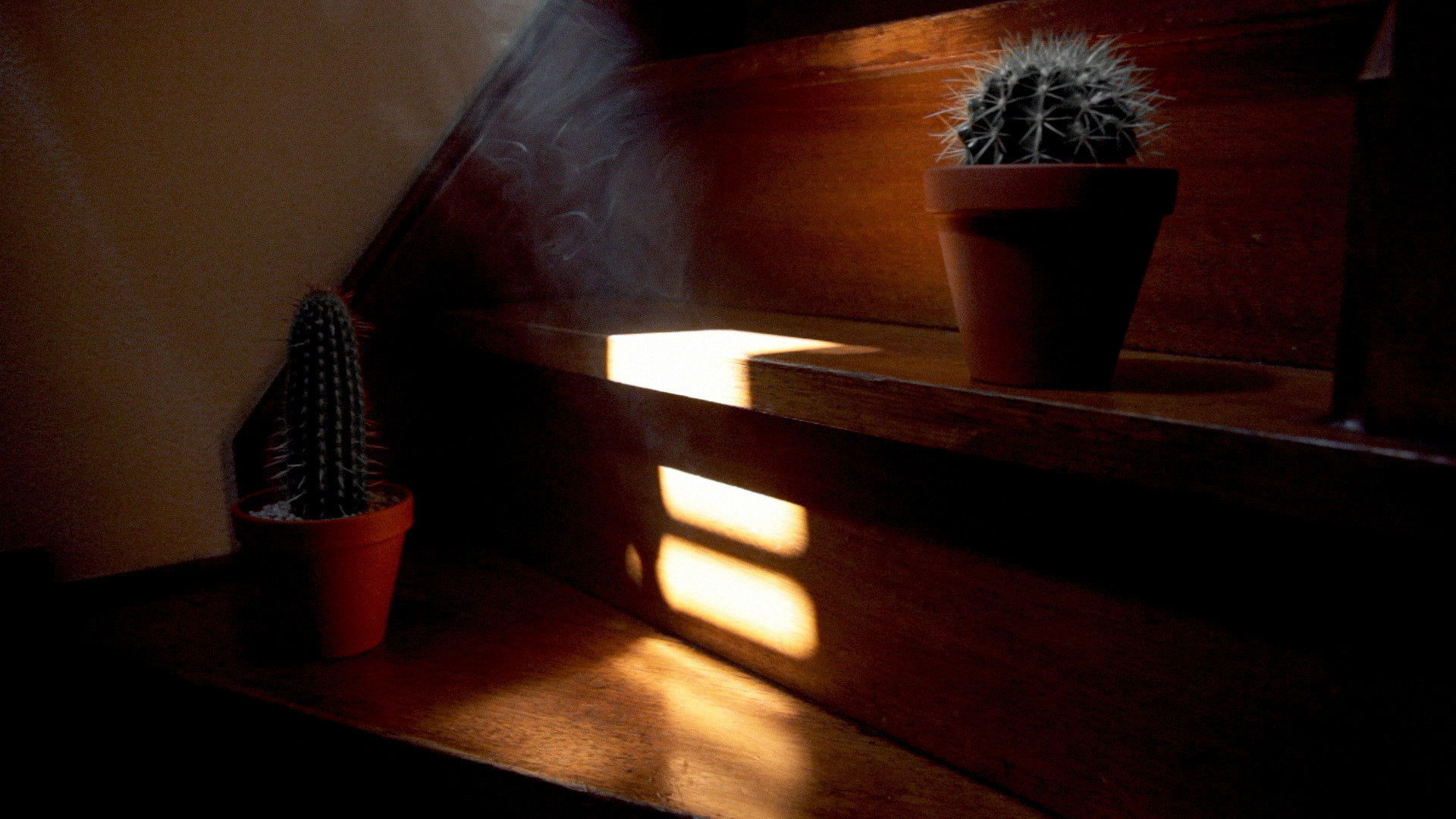 It Has Already Been Ended Before You Can See the End Background