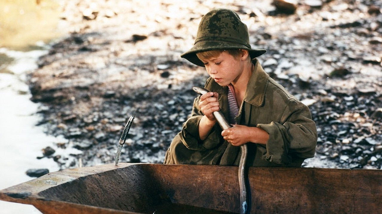 Golden Eels Background