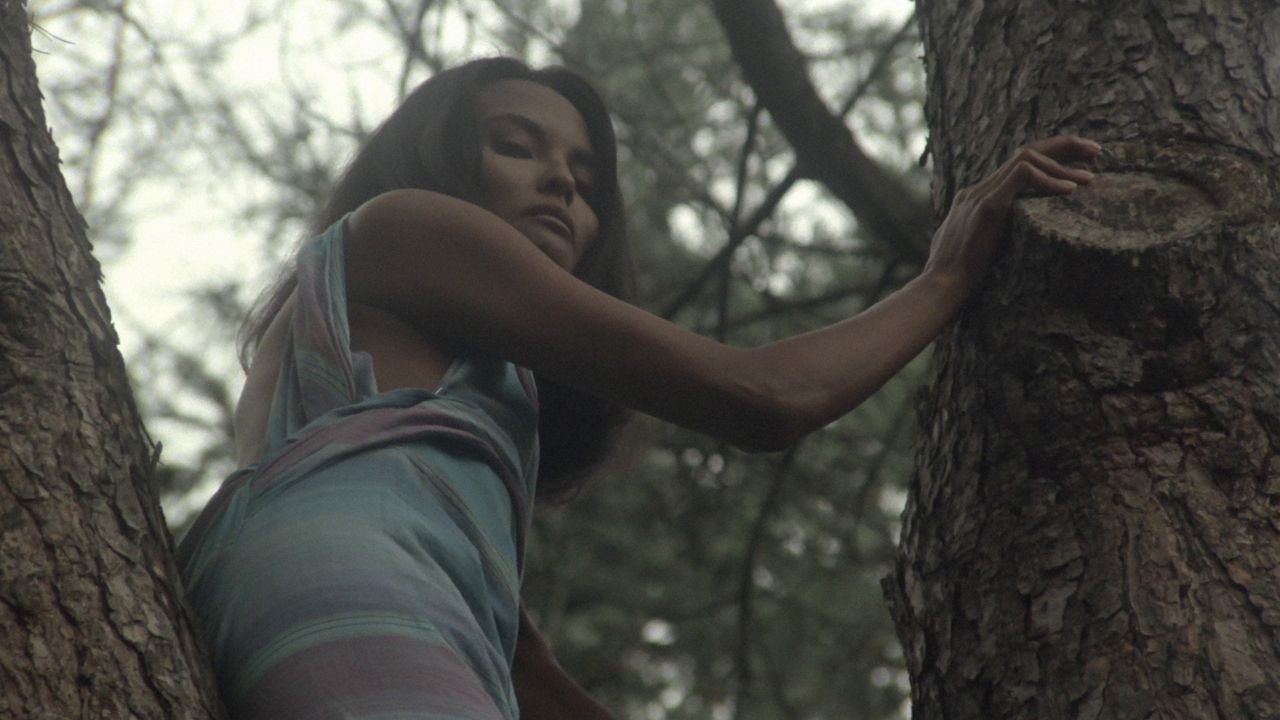 The Alcove Background