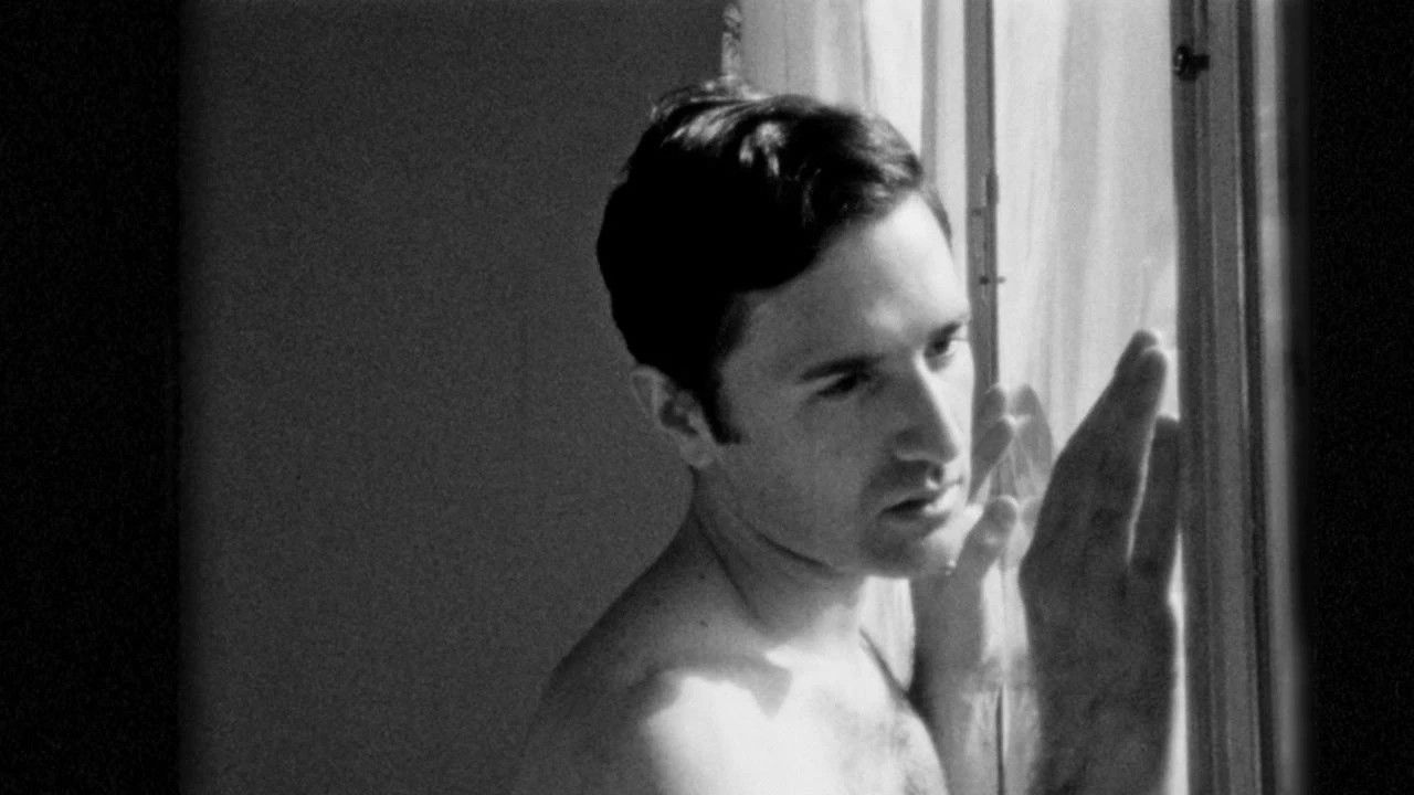 While the Unicorn Is Watching Me Background