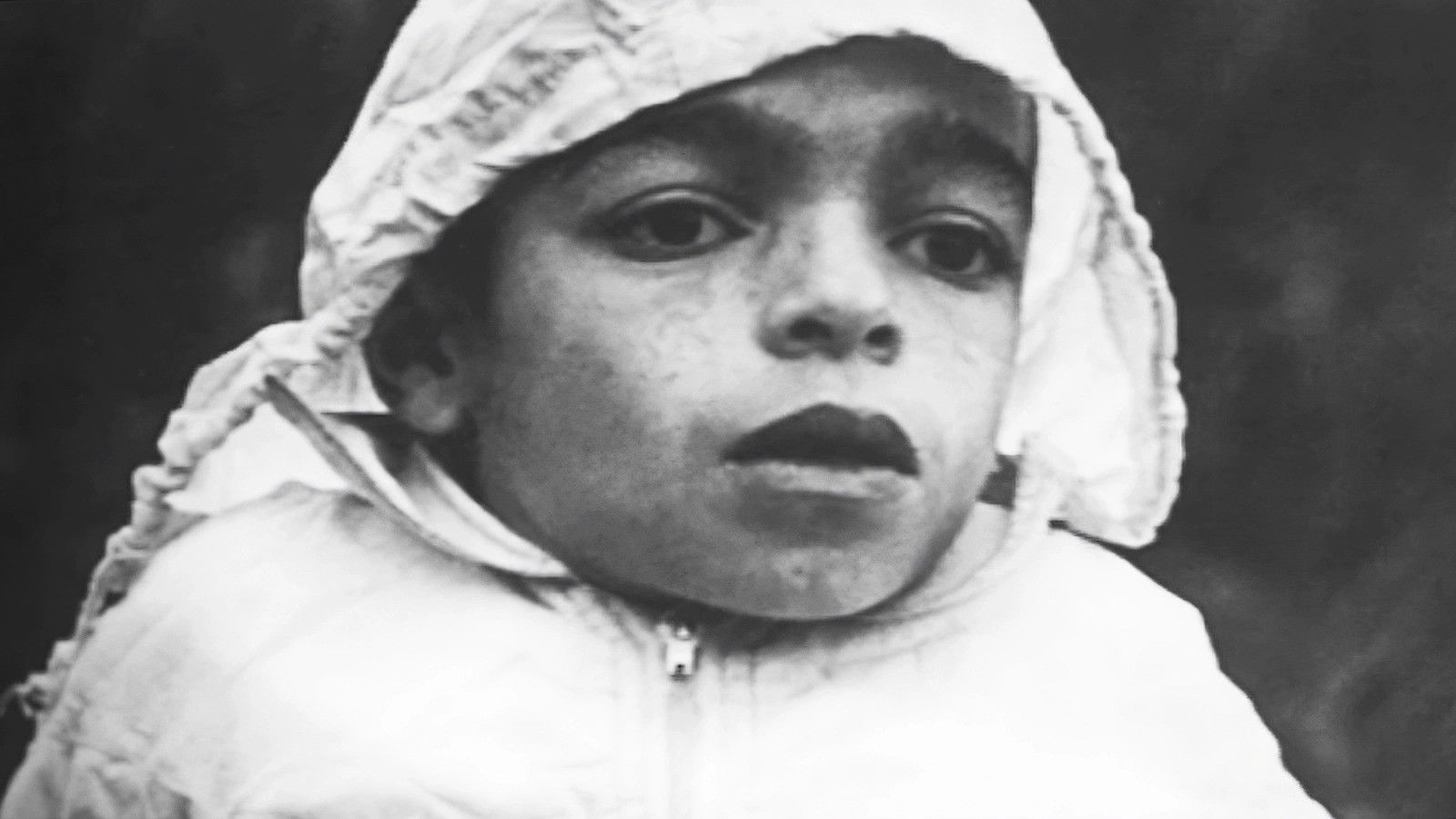 Life in Fog Background