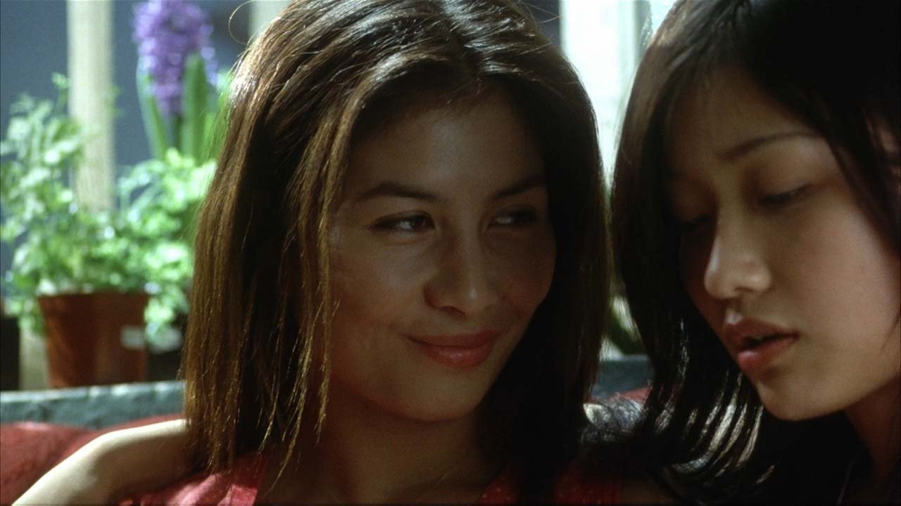 Butterfly Background