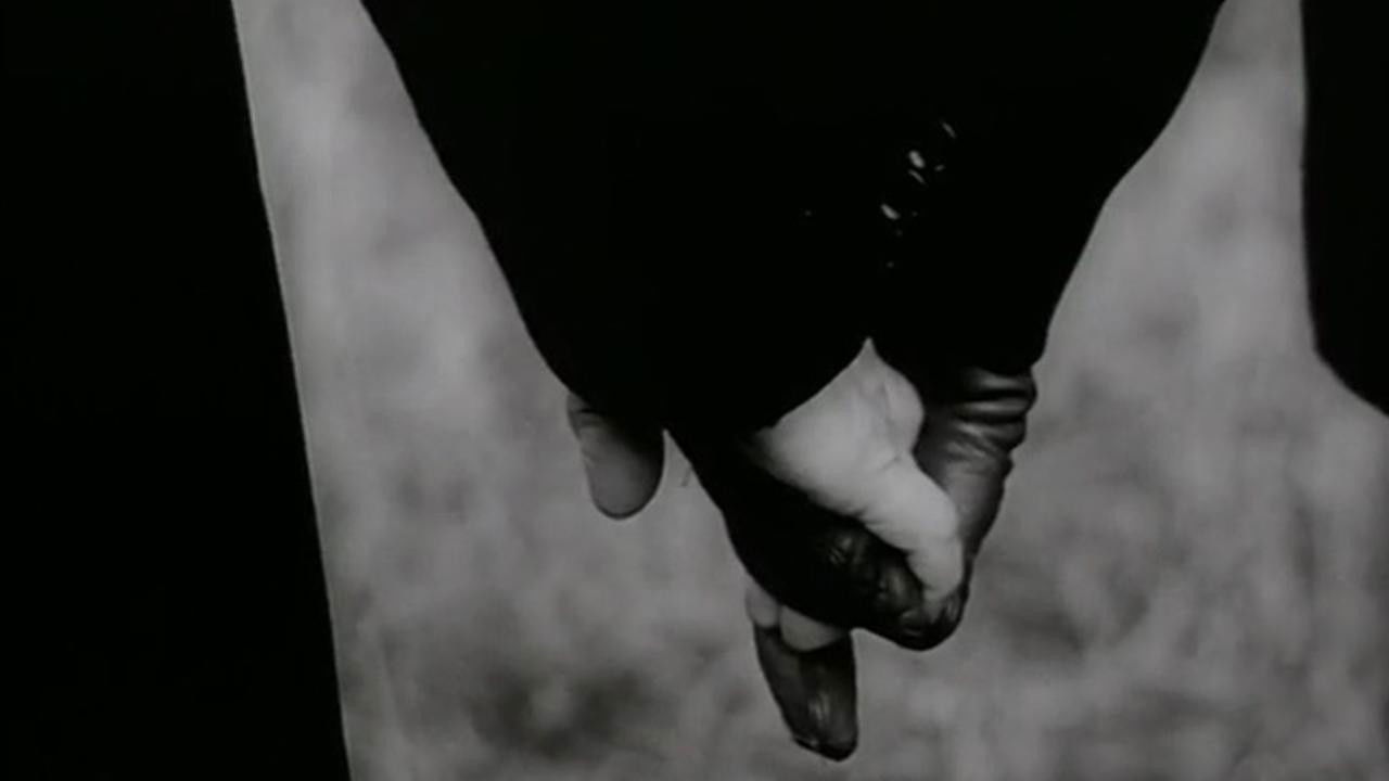 The Garden Background