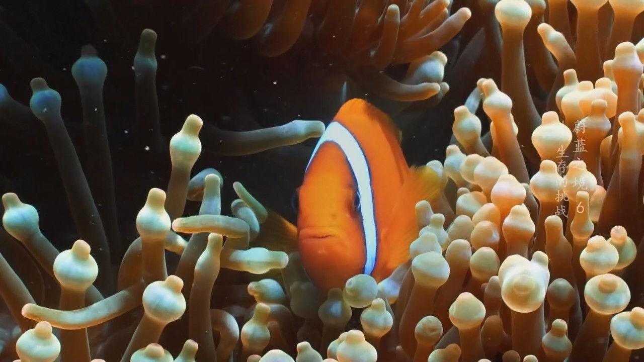 Blue Realm Background