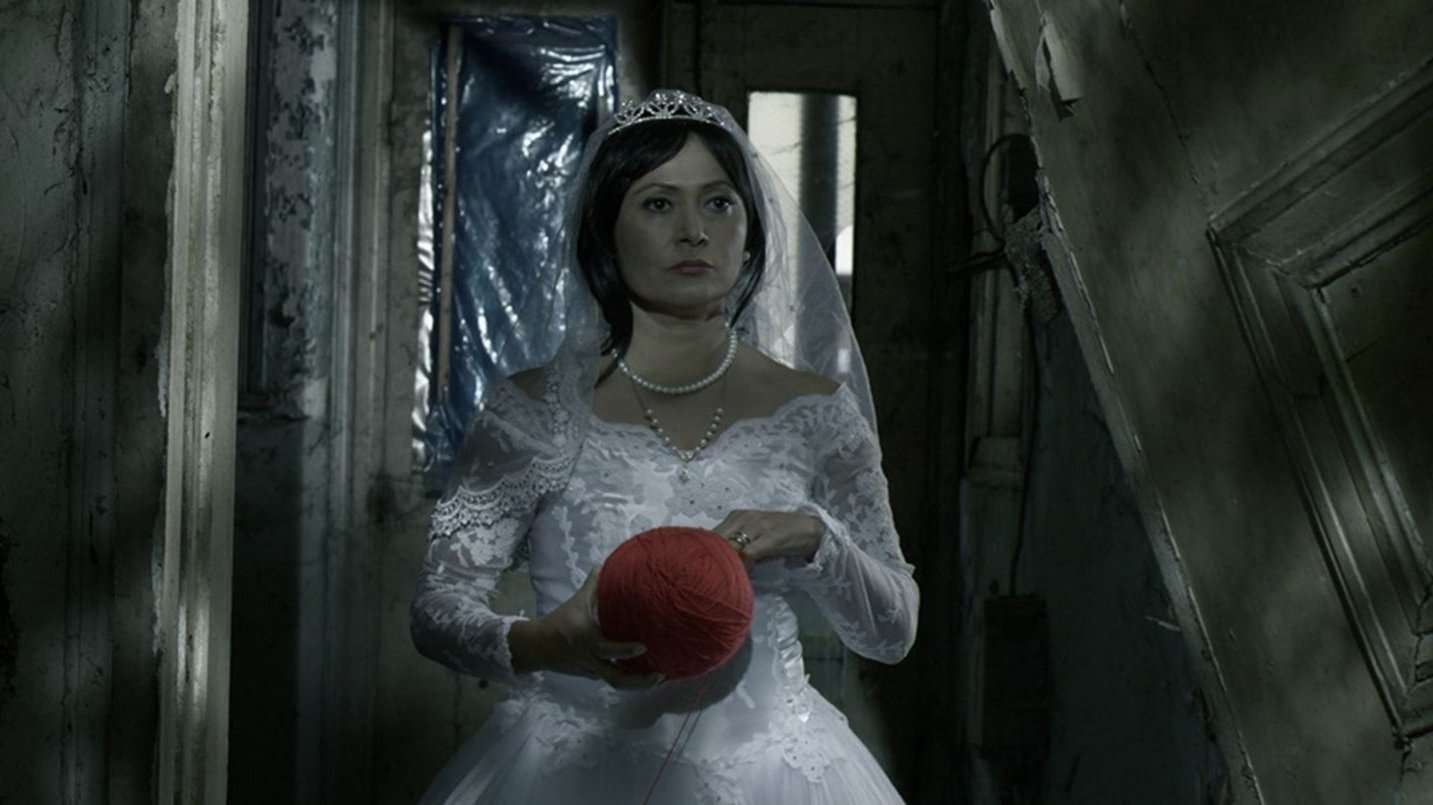 The Visitor Background