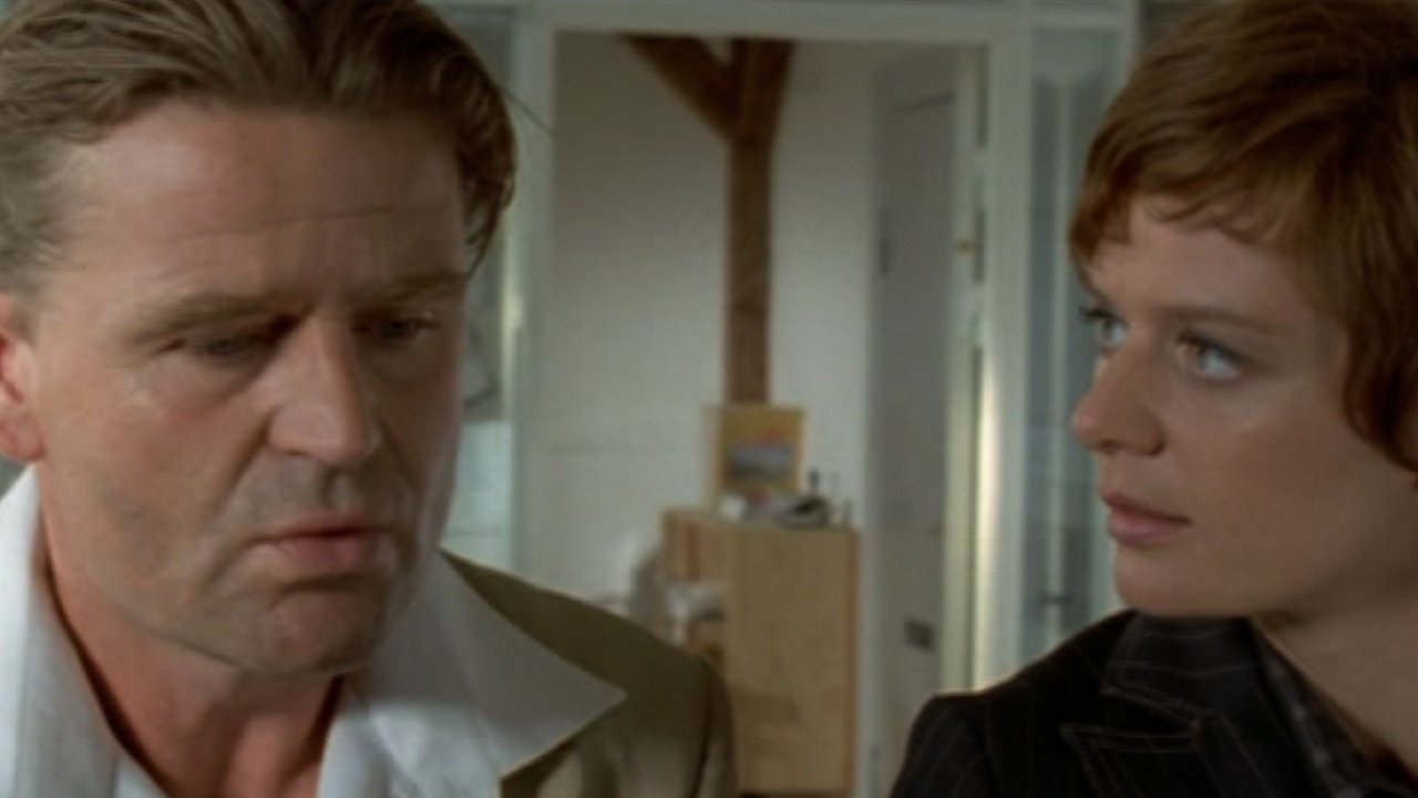 Turn Right by the Yellow Dog Background