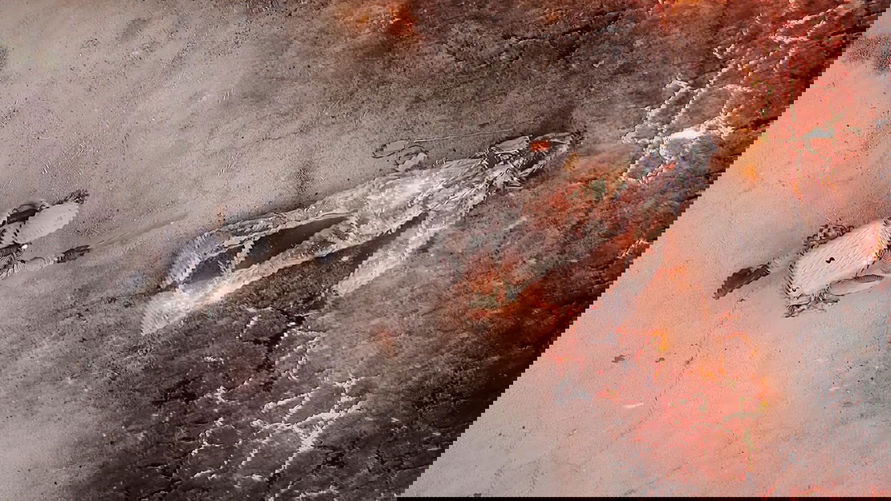 F.O.T.O.G.R.A.F. Background