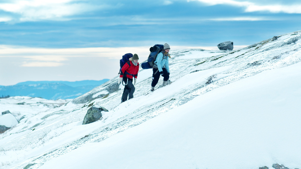 The Mountain Background