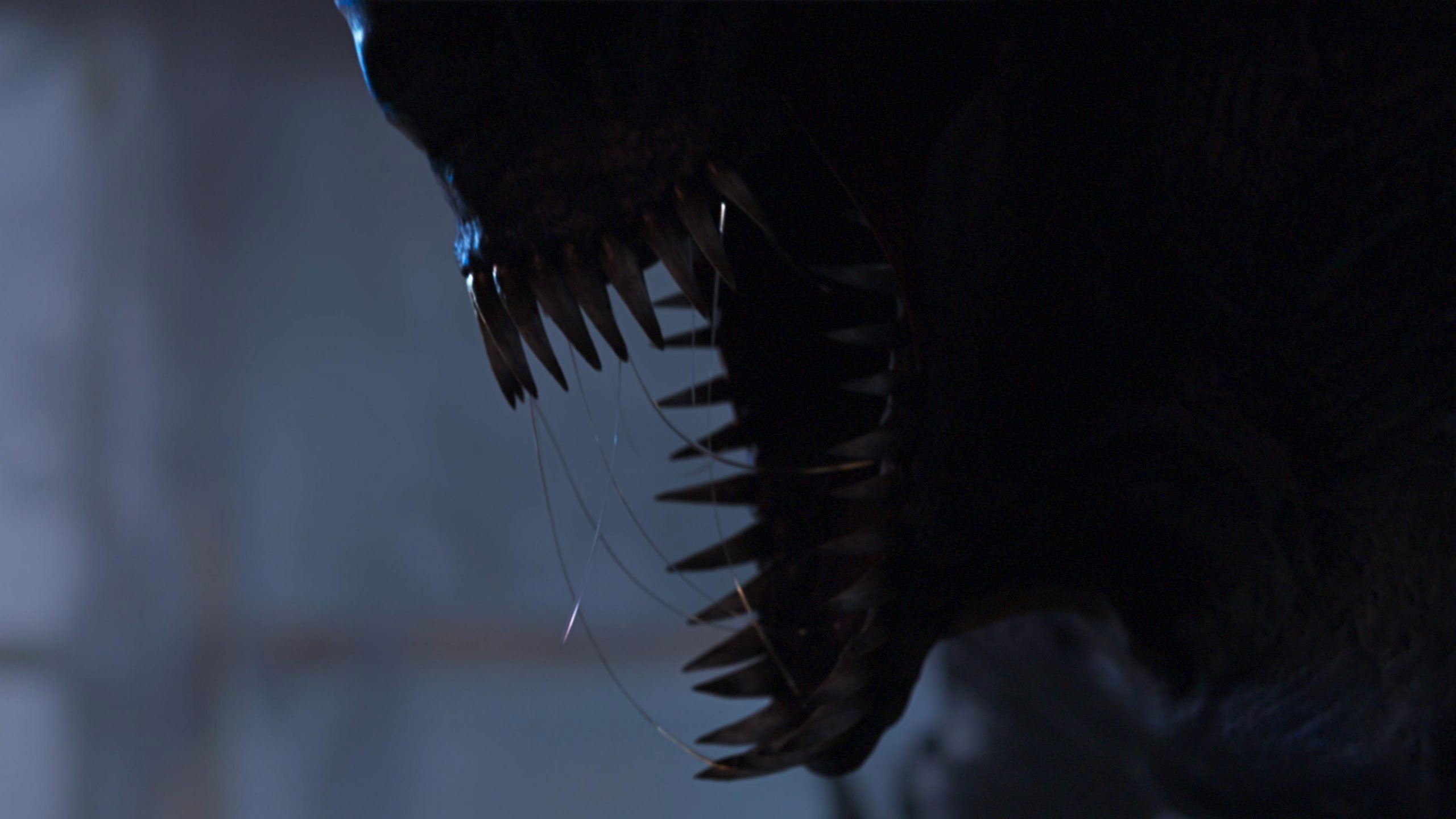 Stereoscope Background