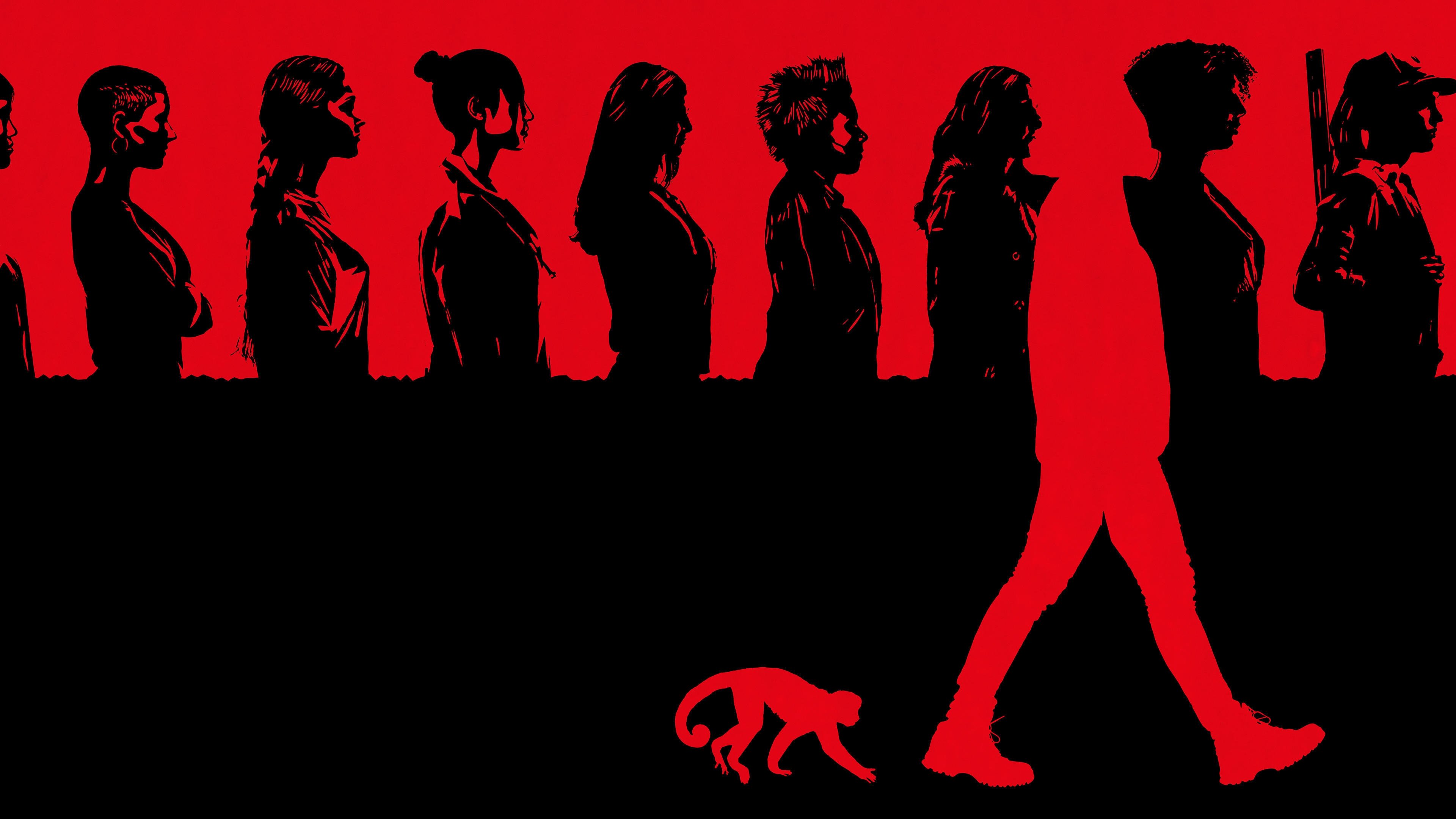 Y: The Last Man Background