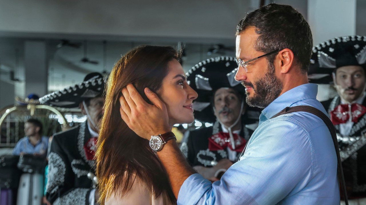 Any Stray Cat 2 Background