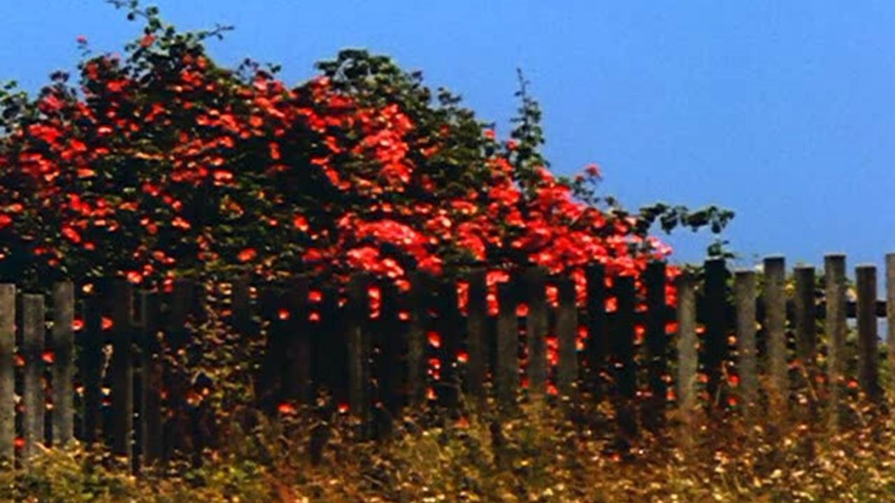 All My Life Background