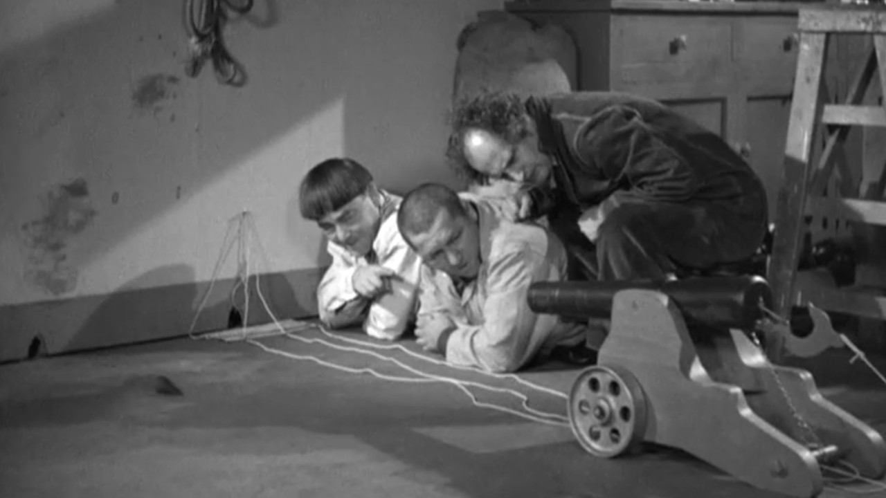 Termites of 1938 Background